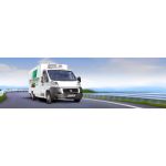 Petit Forestier España