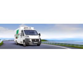 Petit Forestier España