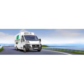 Petit Forestier España